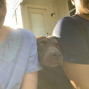 Meet your Posher, Roberto